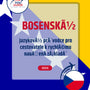Language Guide For Bosnian in Czech