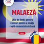Language Guide For Malay in Romanian