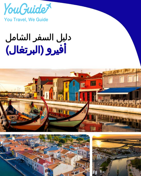 The city trip guide for Aveiro (Portugal)