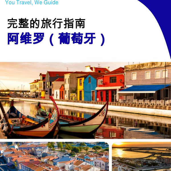 The city trip guide for Aveiro (Portugal)