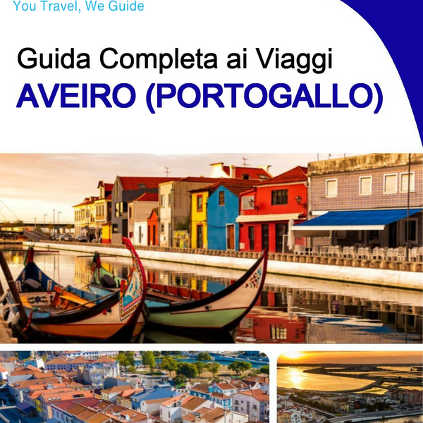 The city trip guide for Aveiro (Portugal)