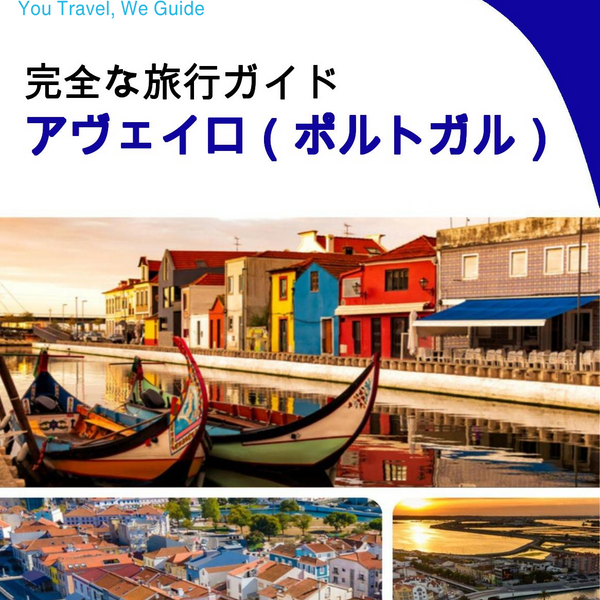 The city trip guide for Aveiro (Portugal)
