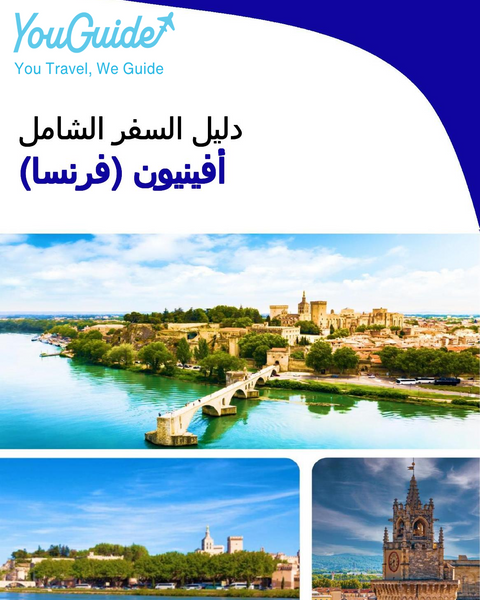 The city trip guide for Avignon (France)