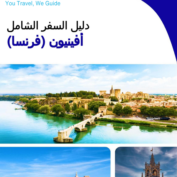 The city trip guide for Avignon (France)