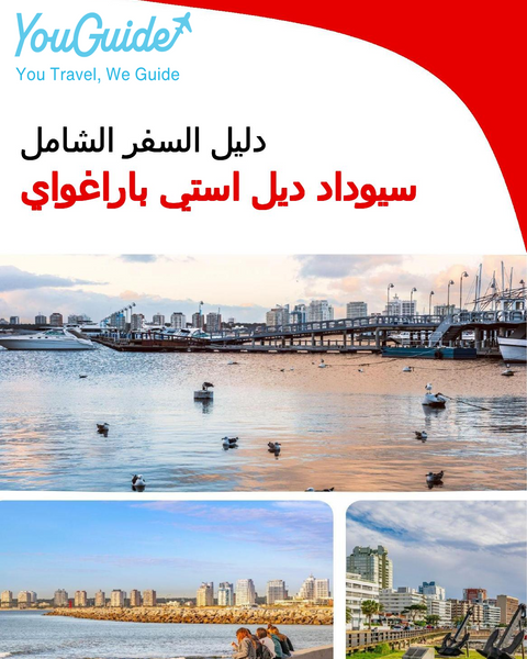 The city trip guide for Ciudad del Este (Paraguay)