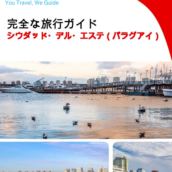 The city trip guide for Ciudad del Este (Paraguay)