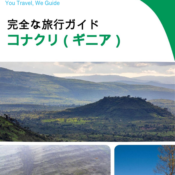 The city trip guide for Conakry (Guinea)