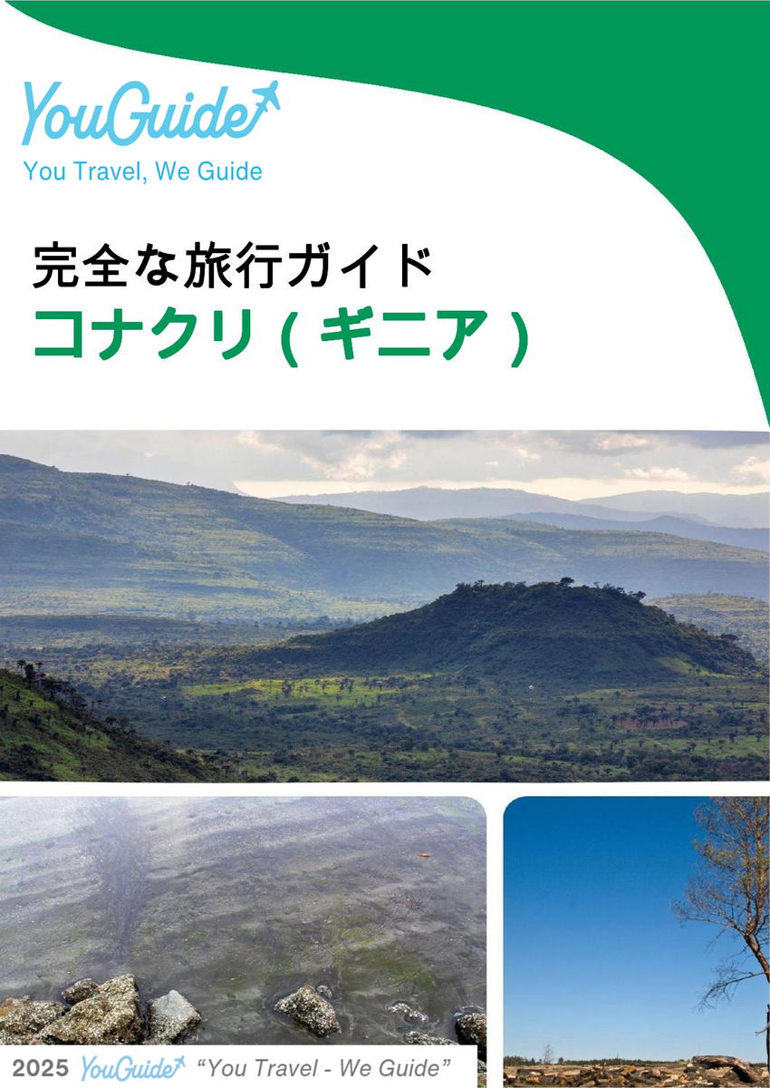 The city trip guide for Conakry (Guinea)