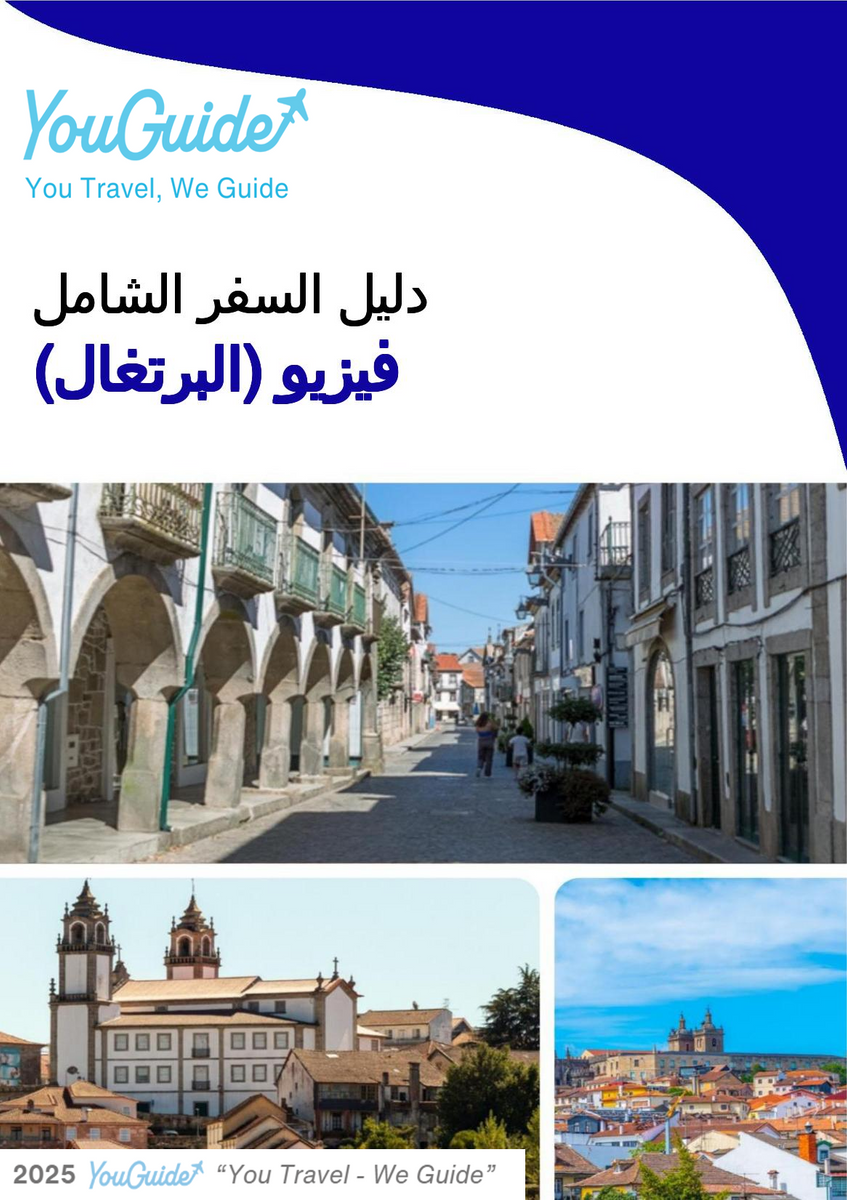The city trip guide for Viseu (Portugal)