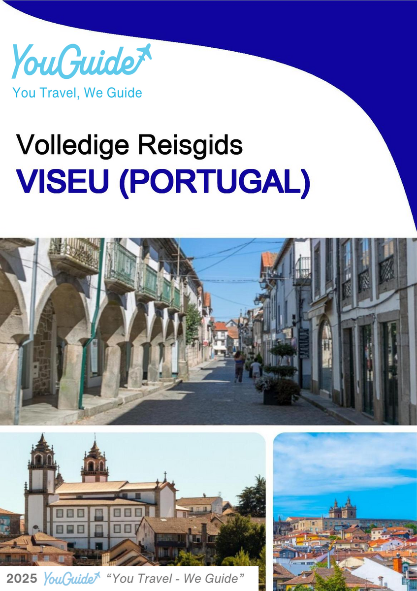 The city trip guide for Viseu (Portugal)