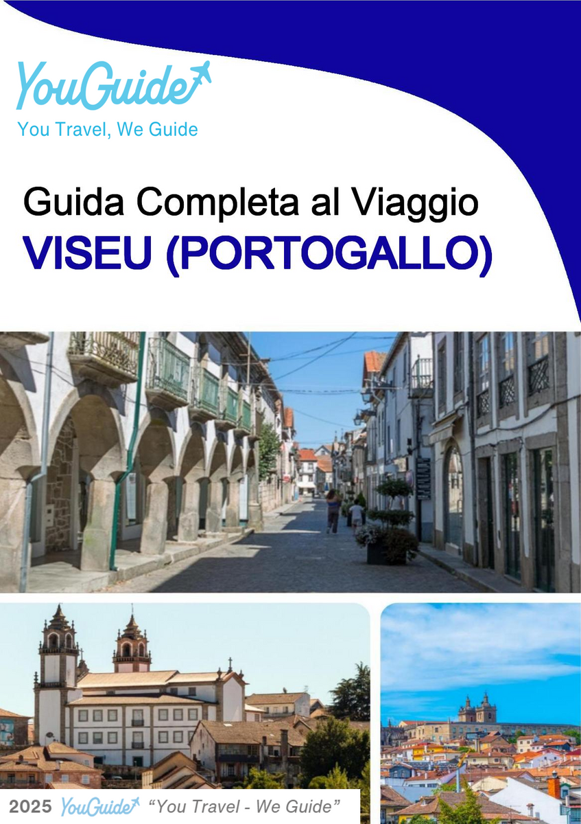 The city trip guide for Viseu (Portugal)