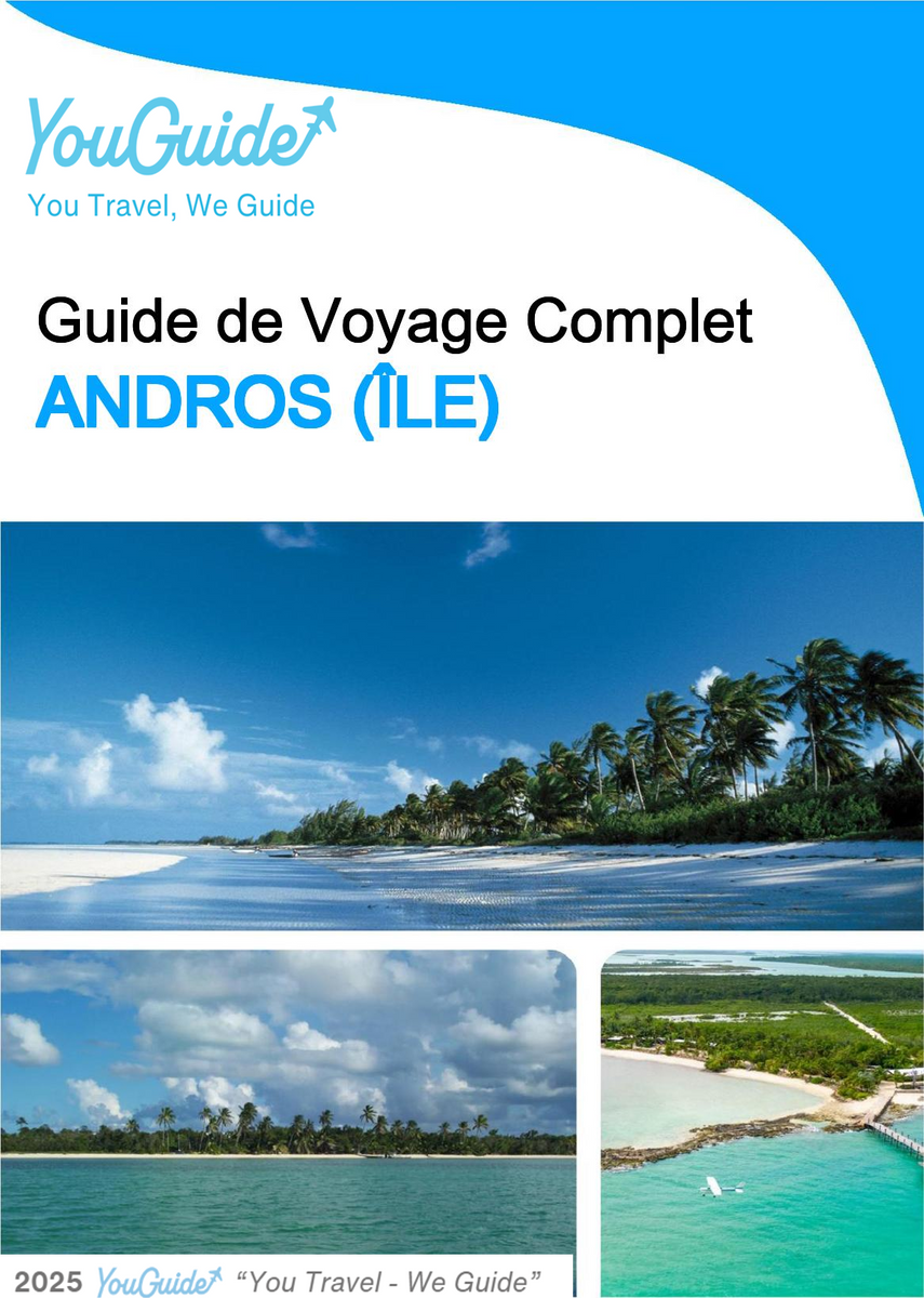The complete travel guide for Andros (island)