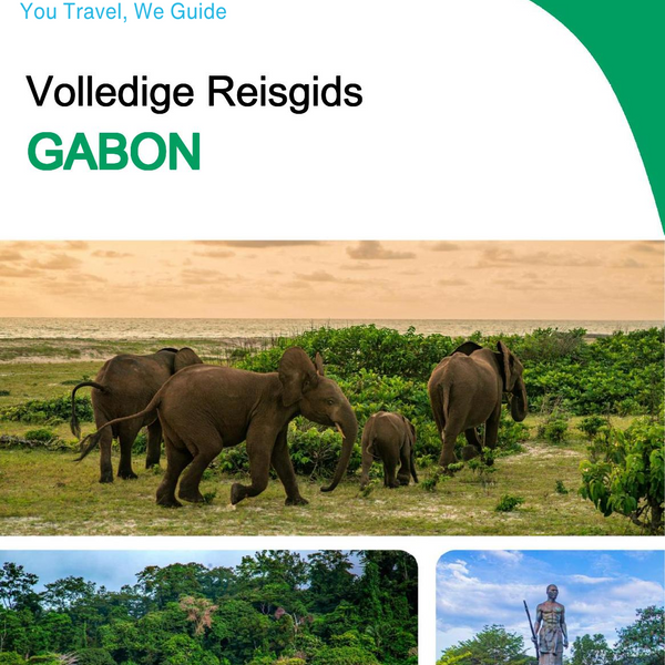 The complete travel guide for Gabon