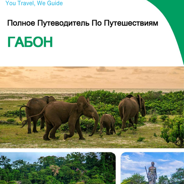The complete travel guide for Gabon