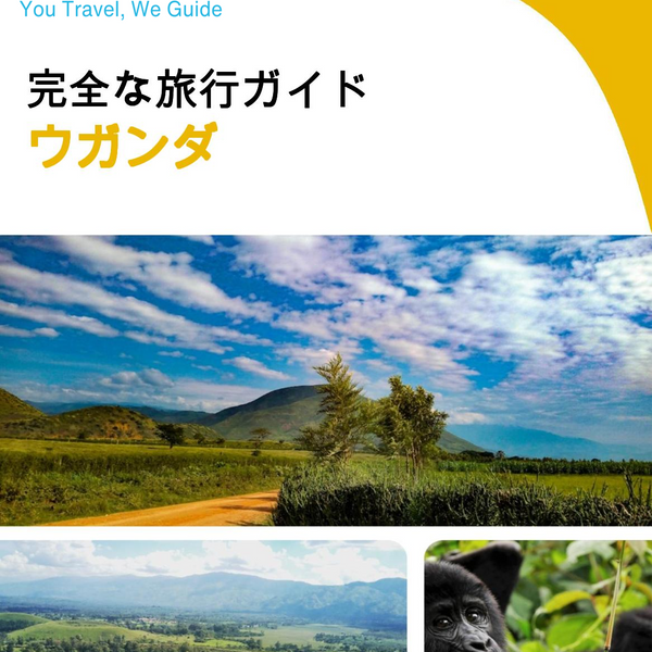 The complete travel guide for Uganda